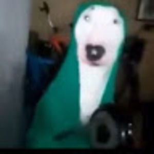 Meet your Posher, Dorilin